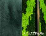 istria_01
