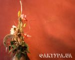 декоративная штукатурка_74