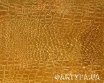 spl_37